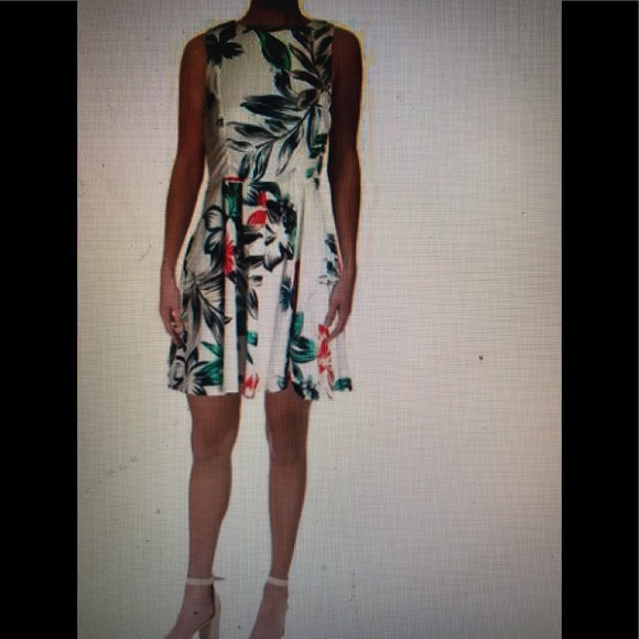 Aqua Dresses & Skirts - Aqua New fit and flare Dress